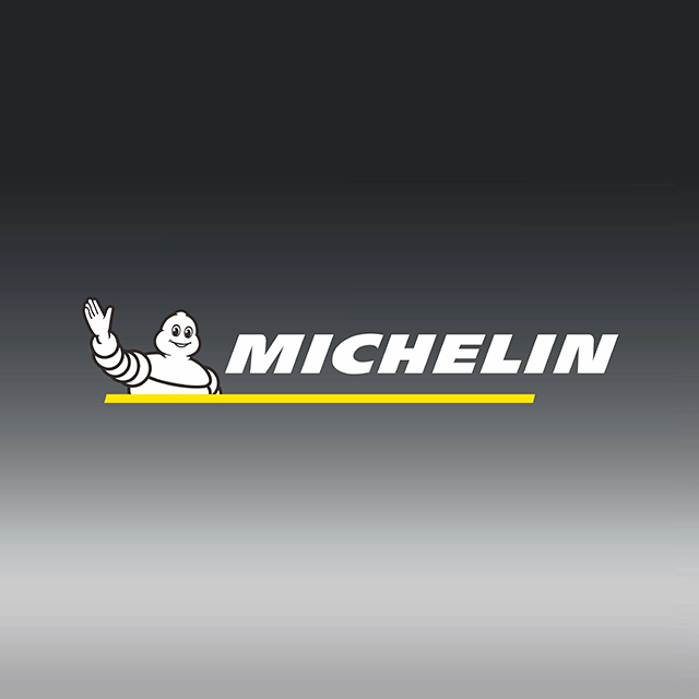 Kit Correa Distribución Michelin